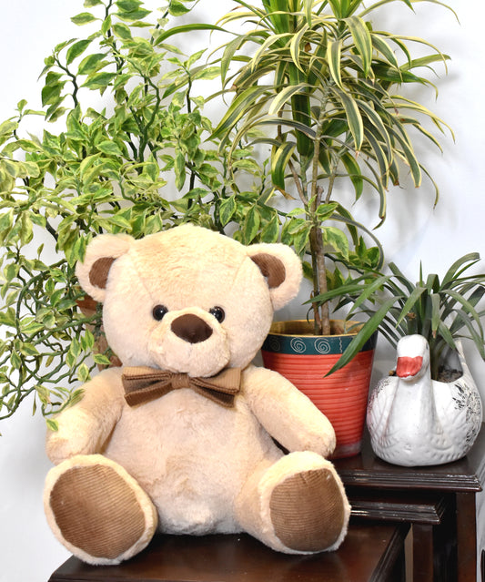 Cuddly Bear Woody (soft toy)