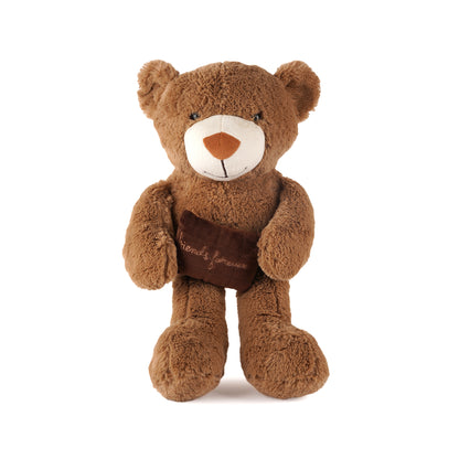 Teddy Bear Furry brown bear with pillow