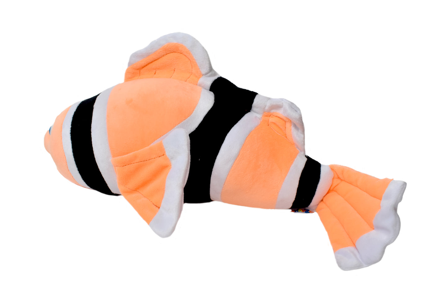 Clowney Fish Dory